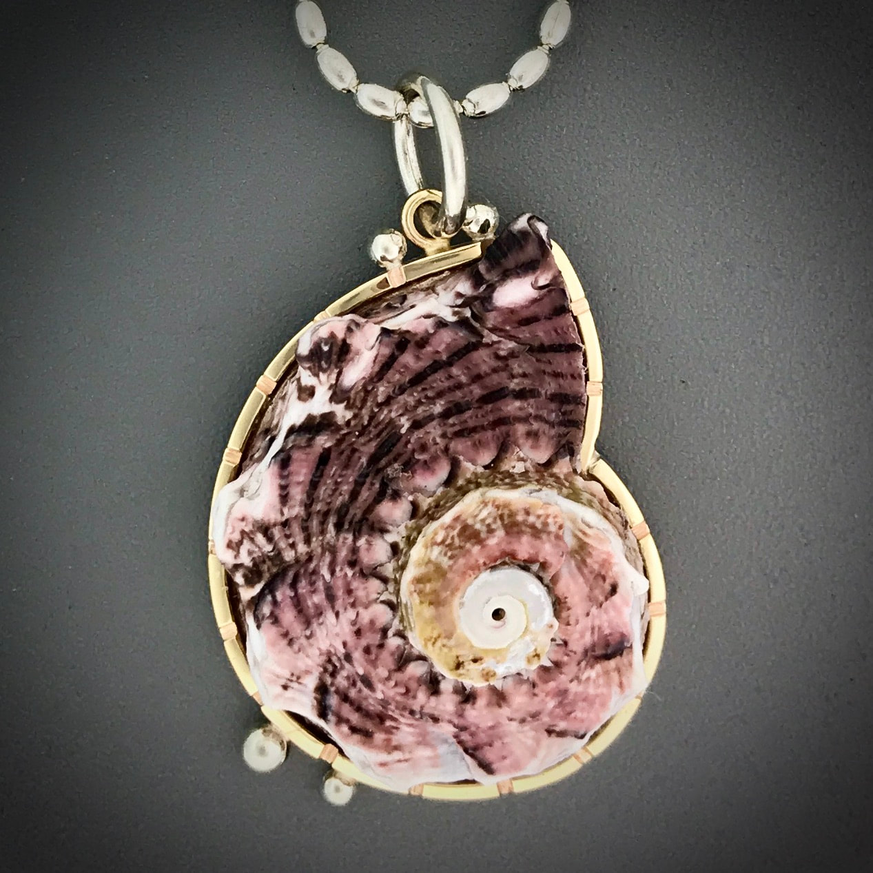 pink delphinula seashell pendant
